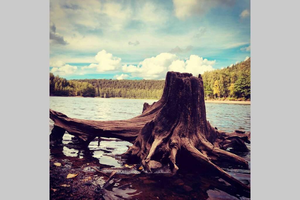 Out & Lodge Prunelliers Кувен Экстерьер фото